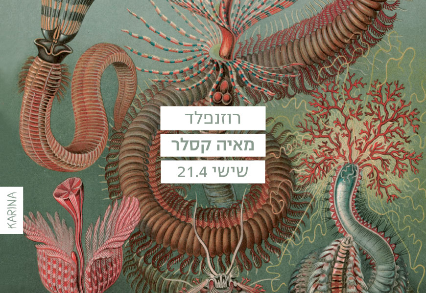 רוזנפלד // מאיה קסלר